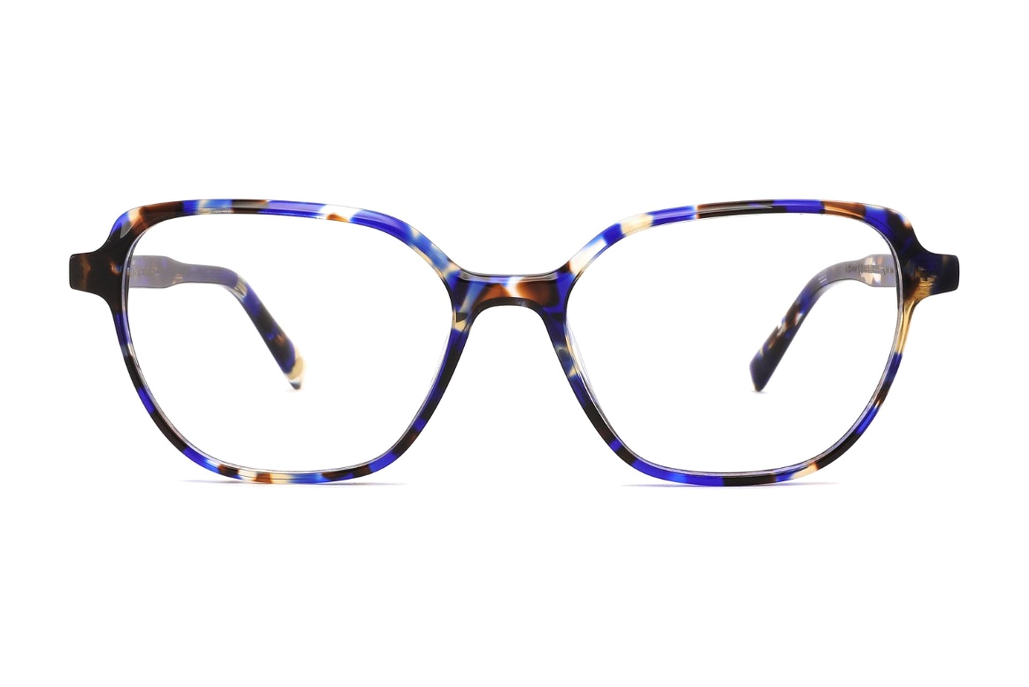 Blue Tortoise