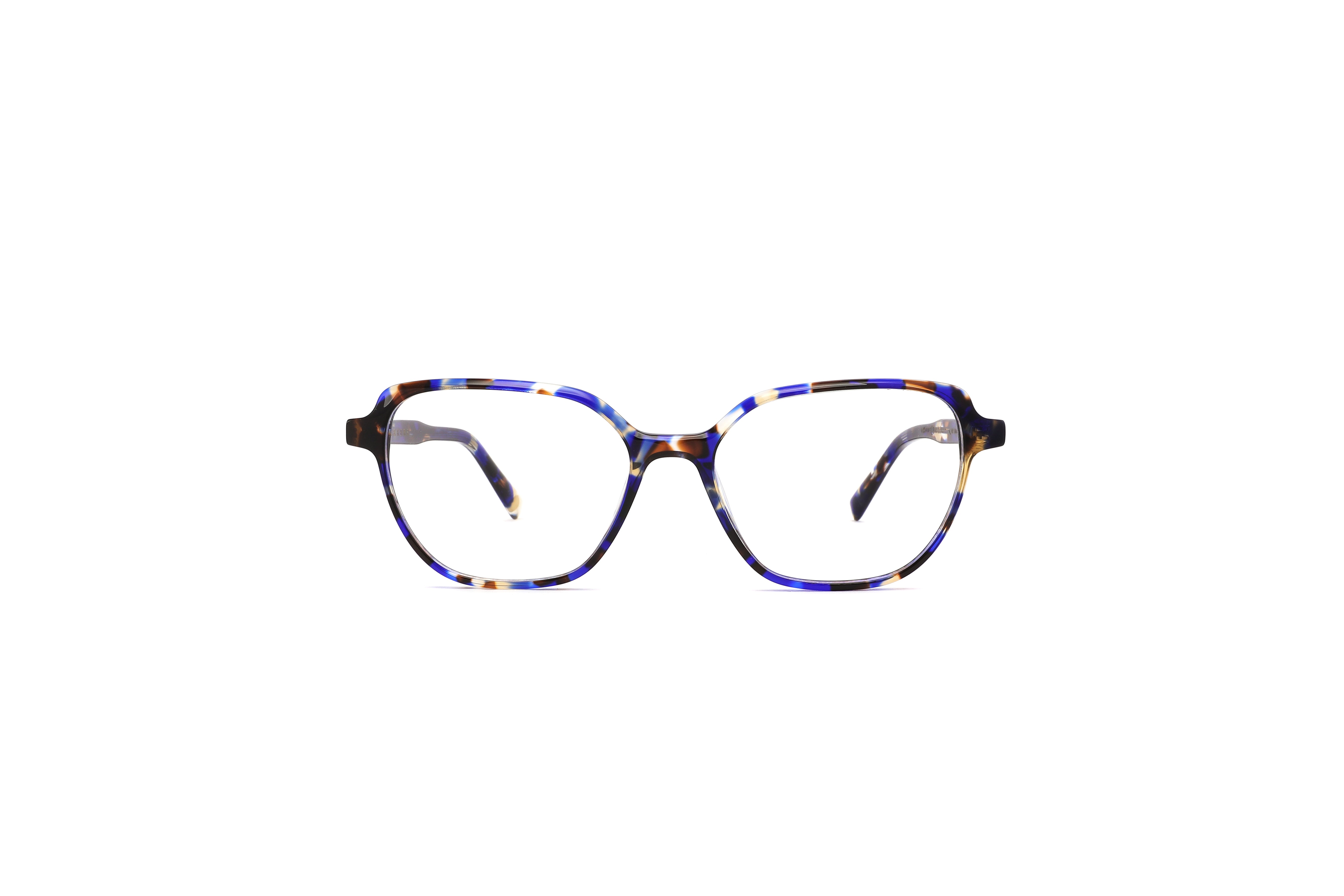 blue-tortoise